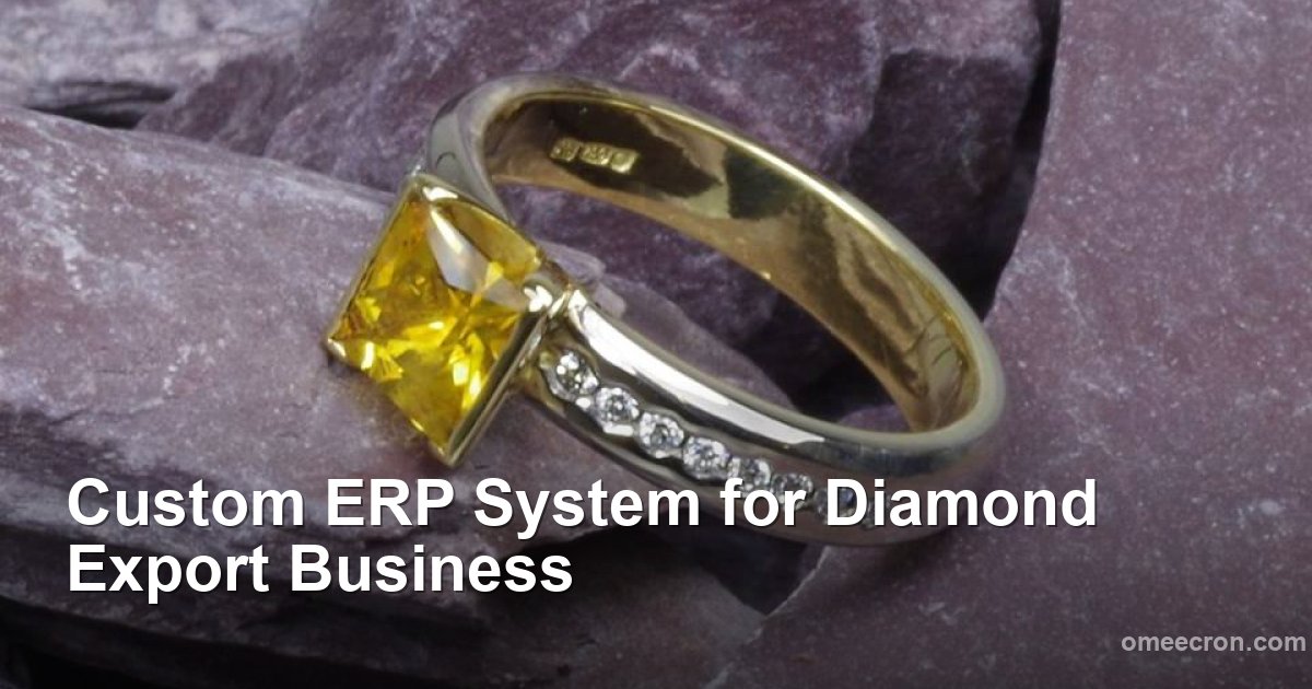 Custom ERP System for Diamond Export Business