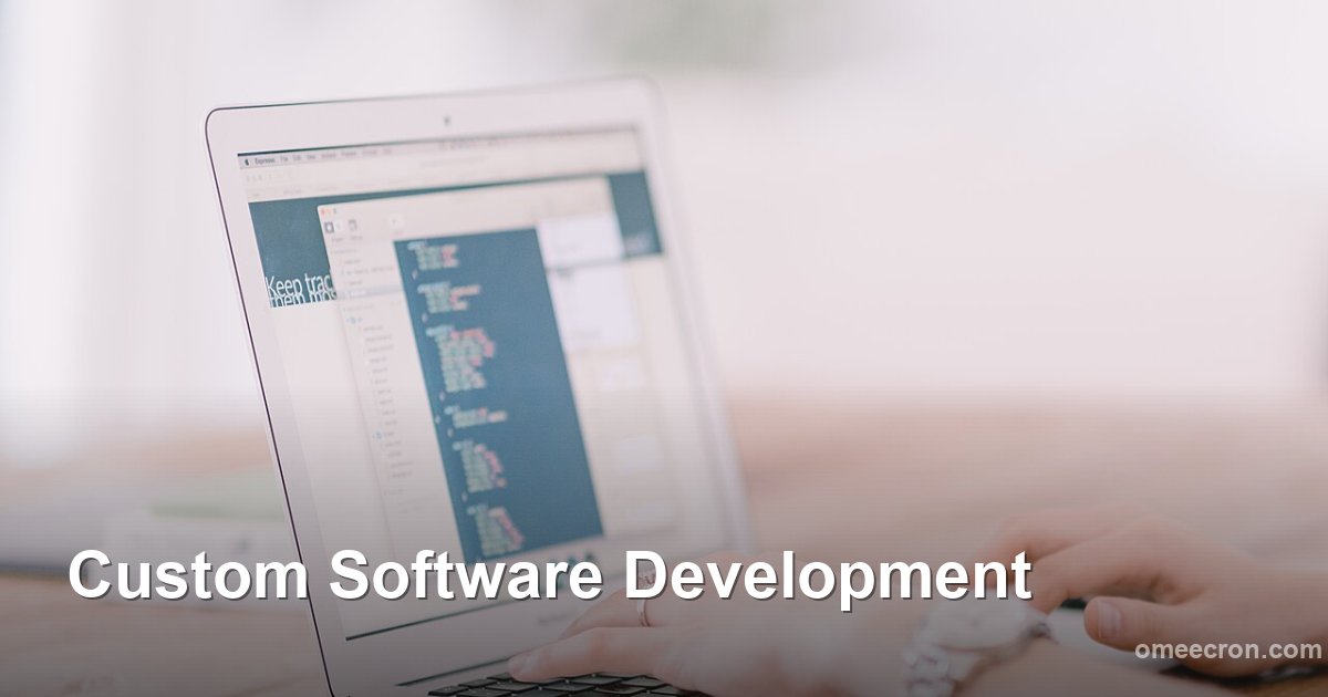 Custom Software Development