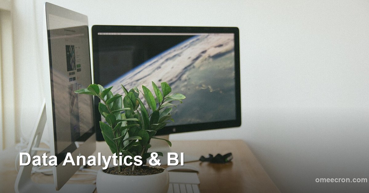 Data Analytics & BI